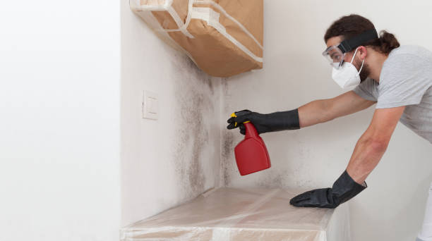 Professional Bathroom Mold Removal technician working in Youngsville, PA