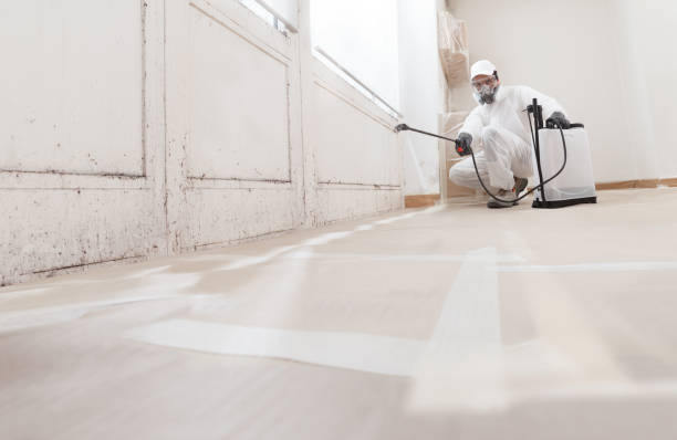 24/7 Emergency Bathroom Mold Removal experts in Youngsville, PA